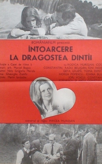 Poster Intoarcerea la dragostea dintîi