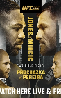 Poster UFC 295: Prochazka vs. Pereira