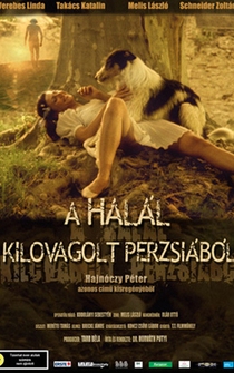 Poster A halál kilovagolt Perzsiából