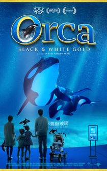 Poster Orca - Black & White Gold