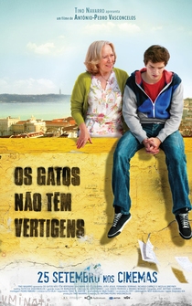 Poster Os Gatos Não Têm Vertigens