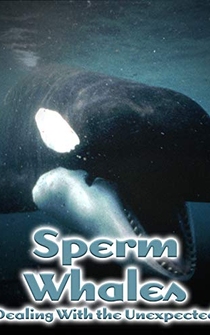 Poster Sperm Whales, Dealing with the Unexpected