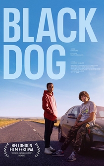 Poster Black Dog