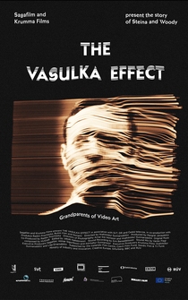 Poster The Vasulka Effect