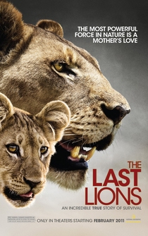 Poster The Last Lions