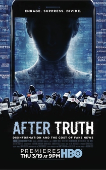 Poster After Truth: Disinformation and the Cost of Fake News