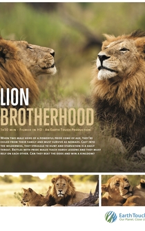 Poster Lion Brotherhood