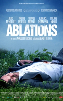 Poster Ablations