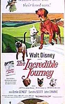 Poster The Incredible Journey