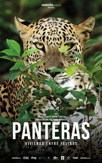 Poster Panteras: Viviendo entre felinos