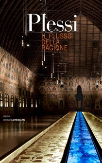 Poster Plessi. Il flusso della ragione