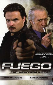 Poster Fuego