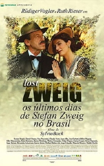 Poster Lost Zweig