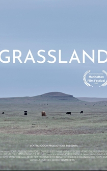 Poster Grassland