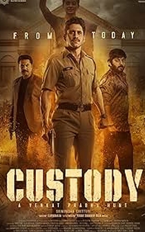 Poster Custody