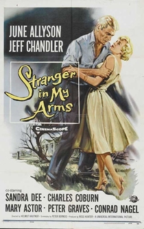 Poster A Stranger in My Arms