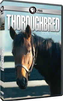 Poster Thoroughbred