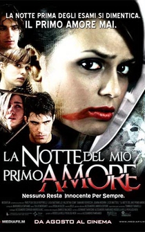 Poster La notte del mio primo amore