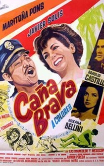 Poster Caña brava