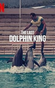 Poster ¿Qué le pasó al rey de los delfines?