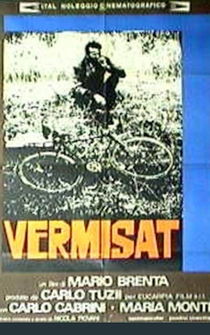 Poster Vermisat