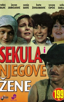 Poster Sekula i njegove zene