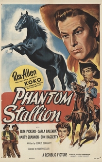 Poster Phantom Stallion