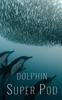 Poster Dolphin Super Pod