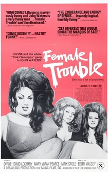 Poster de Problemas femeninos