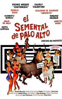 Poster El semental de Palo Alto