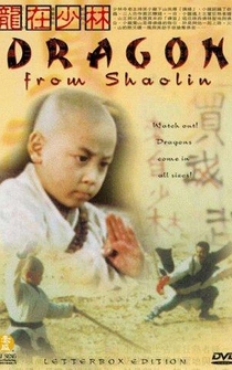 Poster Long zai Shaolin