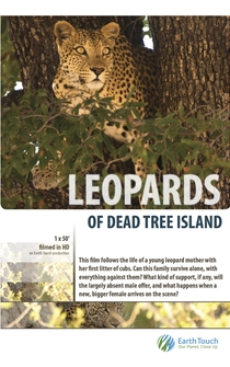 Poster Leopards of Dead Tree Island