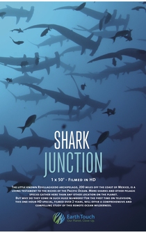 Poster Shark Junction