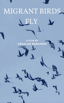 Poster Migrant Birds Fly