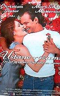 Poster de Días de amor y rosas