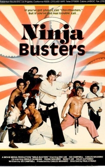 Poster Ninja Busters