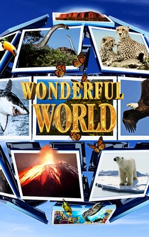 Poster Wonderful World 3D