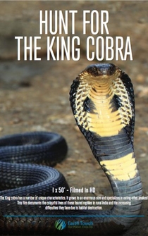 Poster Search for the King Cobra