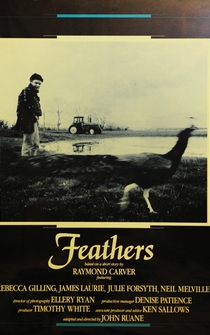 Poster Feathers