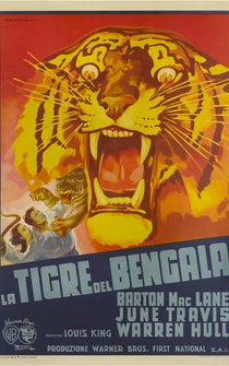 Poster Bengal Tiger