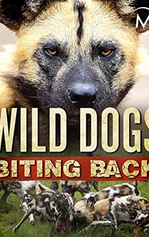 Poster Wild Dogs Biting Back