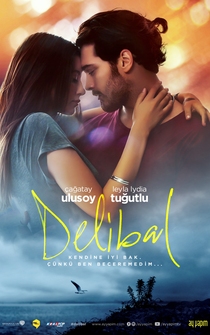 Poster Delibal