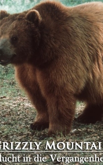 Poster Escape to Grizzly Mountain