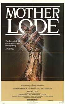 Poster de Centinela maldito