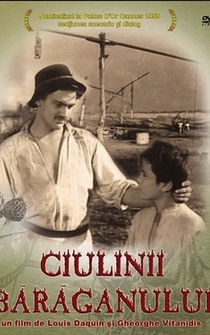 Poster Ciulinii Baraganului