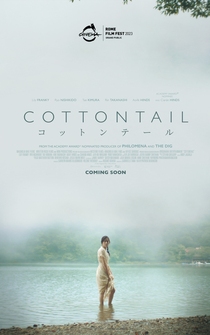 Poster Cottontail