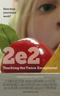 Poster 2e: Teaching the Twice Exceptional