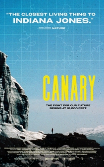 Poster Canary