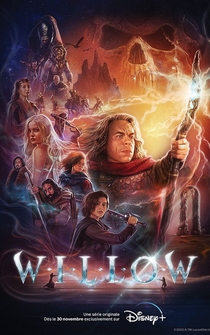 Poster Willow