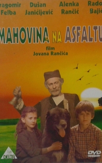 Poster Mahovina na asfaltu